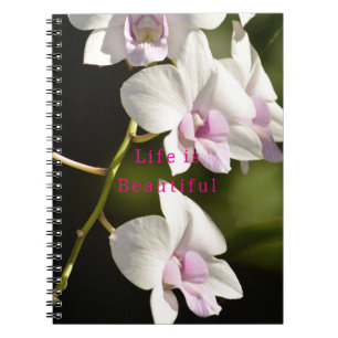 Kauai Weiße Rosa Orchideen (von mir fotografiert) Notizblock