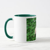 Kauen von Beardie Tasse (Links)