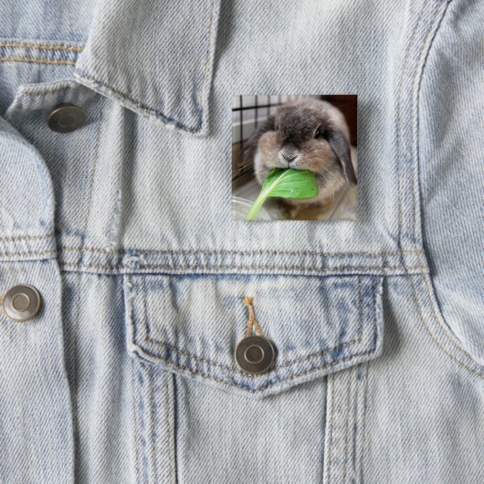 Kauendes Gemüsehäschen Button (Beispiel)