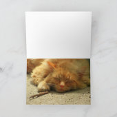 Kaufen Sie ein Geschenk oder nehmen Sie ein Nicker Karte (Innenseite)