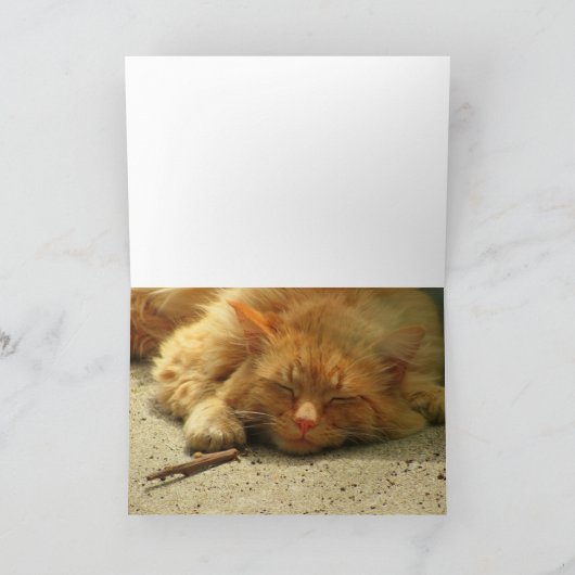 Kaufen Sie ein Geschenk oder nehmen Sie ein Nicker Karte (Innenseite)