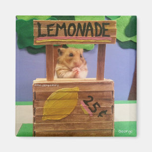 Kaufen Sie etwas Limonade? Hübsch bitte? Magnet