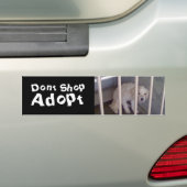 Kaufen Sie nicht Autoaufkleber (Auf Auto)