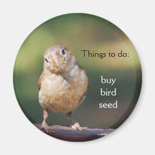 "kaufen Sie Vogelsamen" Magnet