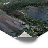 Kaugummi-Bäume (Eukalyptus) im Regenwald Tokai Poster (Ecke)