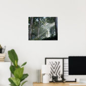 Kaugummi-Bäume (Eukalyptus) im Regenwald Tokai Poster (Heimbüro)