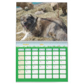 Kaukasischer Legenden-Bauernhof Kalender (Mär 2026)