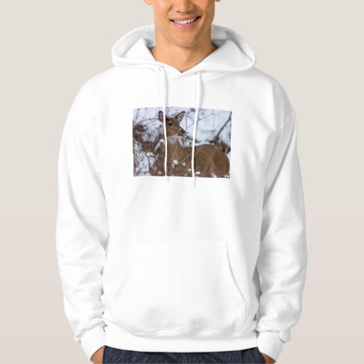 kaulig hoodie (Vorderseite)