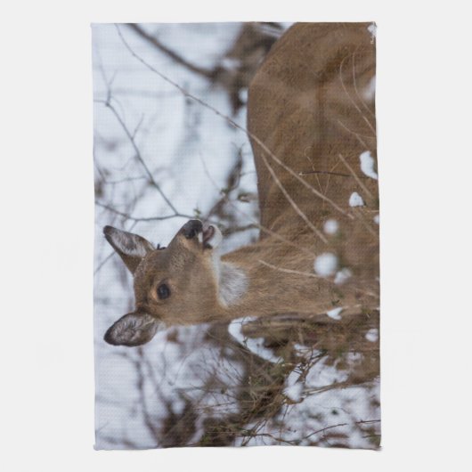 kaulig küchentuch (Vertikal)