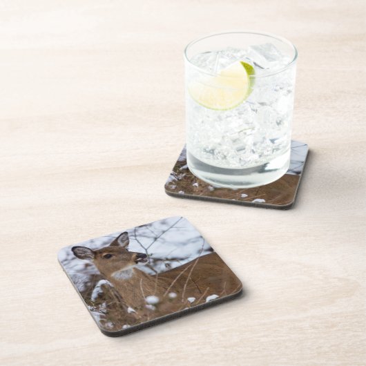 kaulig untersetzer (Rechte Seite)