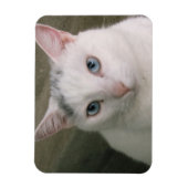 Kaulquappe Magnet (Vertikal)