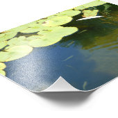 Kaulquappen Fotodruck (Ecke)