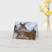 Kaum denken Sie an Ihre Karte (Gelbe Blume)