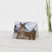 Kaum denken Sie an Ihre Karte (Vorderseite)