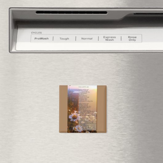 Kaum kratzen Sie das Oberflächengedicht Magnet (In Situ (Geschirrspüler))