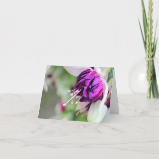 kaum Lila Fushia II Feiertagskarte (Vorderseite)