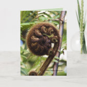 Kauri-Waldfarn Karte (Vorderseite)