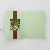 Kauri-Waldfarn Karte (Innenseite)