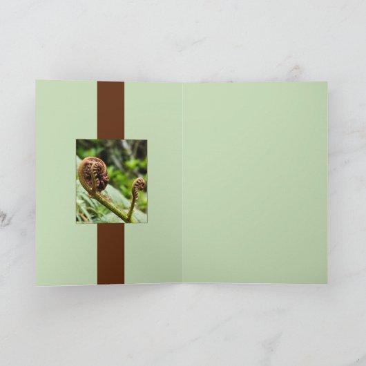 Kauri-Waldfarn Karte (Innenseite)