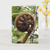 Kauri-Waldfarn Karte (Gelbe Blume)