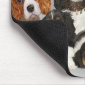 Kavalier King Charles kann nicht nur ein Geschenk  Mousepad (Ecke)