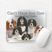 Kavalier King Charles kann nicht nur ein Geschenk  Mousepad (Mit Mouse)