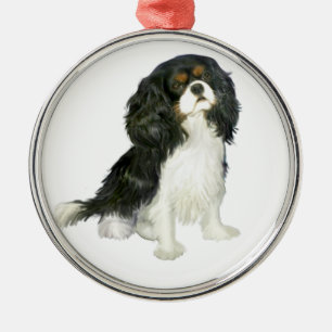 Kavalier King Charles - Tri farbig Ornament Aus Metall