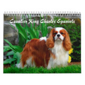 Kavalier König Charles Spaniel Hund Kalender (Titelbild)