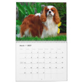 Kavalier König Charles Spaniel Hund Kalender (Mär 2027)