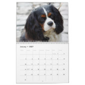 Kavalier König Charles Spaniel Hund Kalender (Jan 2027)