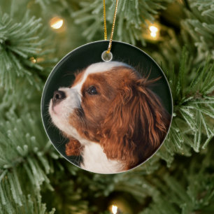 Kavalier König Charles Spaniel Hund Keramik Ornament