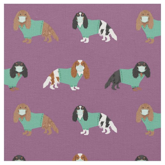Kavalier König Charles Spaniel in den Skrupeln Stoff (Nahaufnahme)