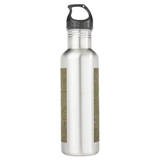 Kavalier-König-Charles-Spaniel voll Edelstahlflasche (Rückseite)