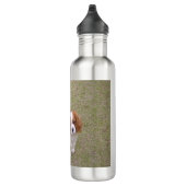 Kavalier-König-Charles-Spaniel voll Edelstahlflasche (Rechts)