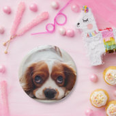 Kavalier König Charles Spanier Pappteller (Party)