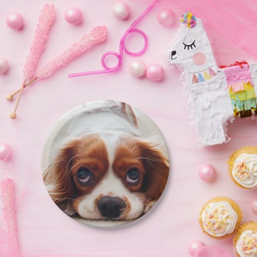 Kavalier König Charles Spanier Pappteller (Party)