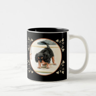 Kavalier König Charles Spanier Zweifarbige Tasse