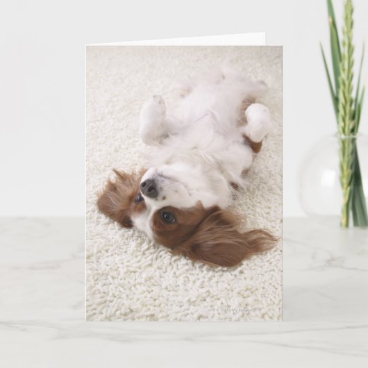 Kavalier mit Bauch Karte (Vorderseite)