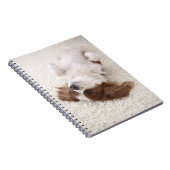 Kavalier mit Bauch Notizblock (Rechte Seite)