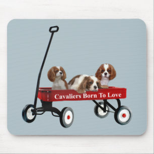 Kavaliere im Lastwagen Mousepad