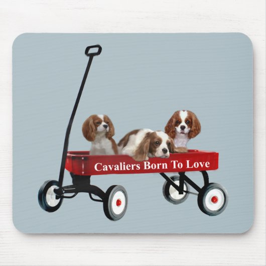 Kavaliere im Lastwagen Mousepad (Vorne)