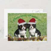 Kavalleriers in Weihnachtsmannmützen Feiertagspostkarte (Vorne/Hinten)