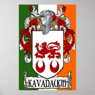 Kavanaugh Coat of Arms Irish Flag Print Poster