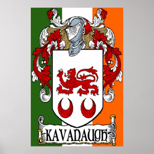 Kavanaugh Coat of Arms Irish Flag Print Poster (Vorne)
