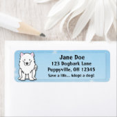 Kawaii American Eskimo Dog (Insitu)