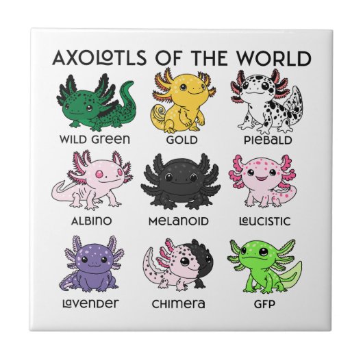 Kawaii Axolotls of the Worlds Fliese (Vorderseite)