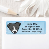 Kawaii Border Collie (Insitu)