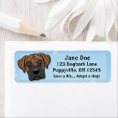 Kawaii Brindle Boxer (Insitu)