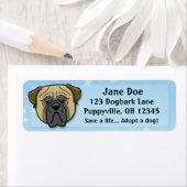 Kawaii Bullmastiff (Insitu)