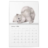 Kawaii Kalender (Jan 2026)